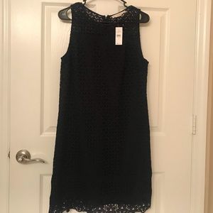 Navy Lace Dress- LOFT